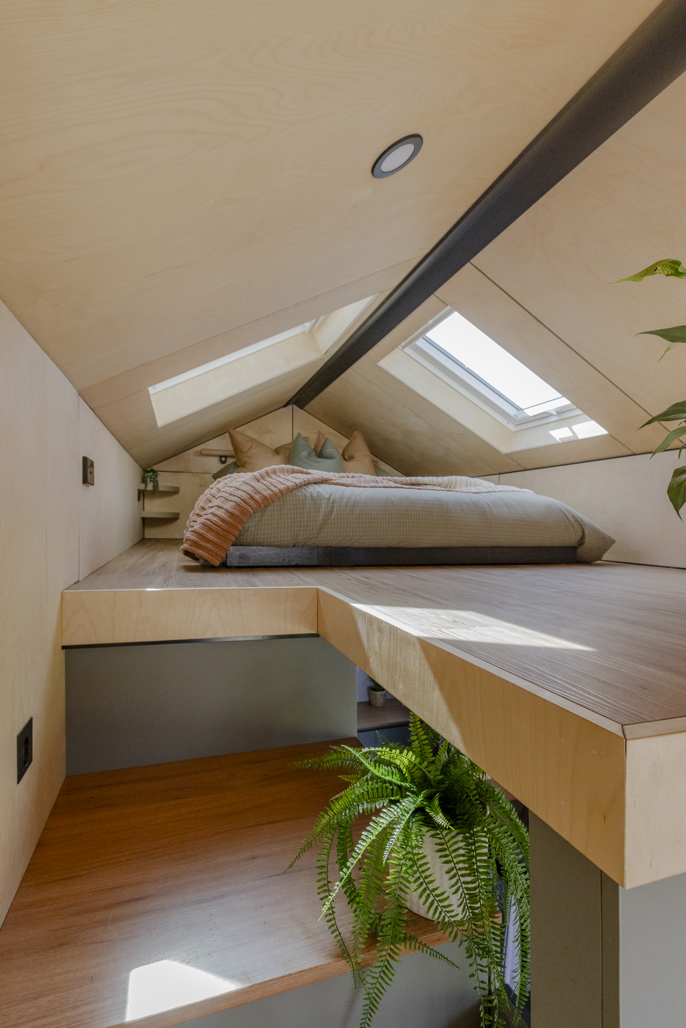 Tiny House Loft with Skylight – Natural Light & Timber Interior Bright tiny home loft with timber ceiling, potted plant, and skylight window bringing in natural light and views of the sky.