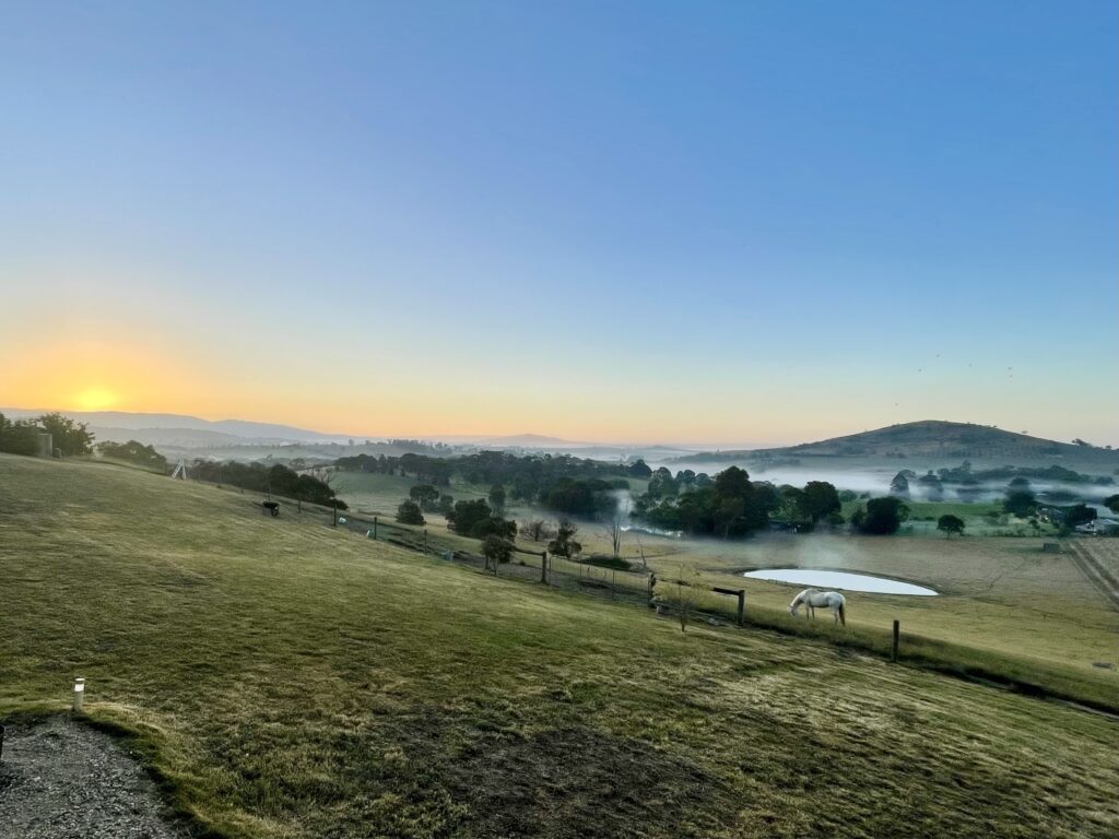 Tiny Home on Wheels holiday accommodation with views nature