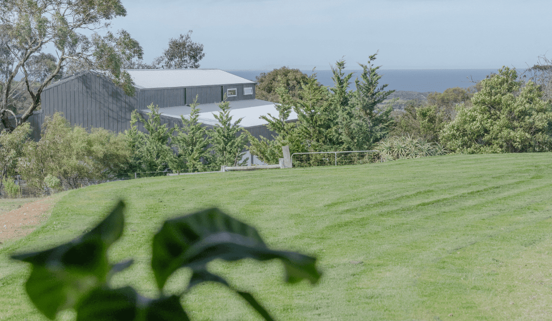 Your Coastal Retreat: Tiny Homes on Wheels and the Surf Coast