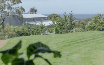 Your Coastal Retreat: Tiny Homes on Wheels and the Surf Coast