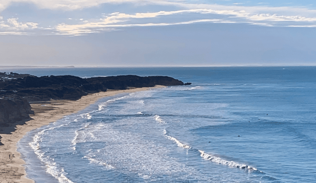 Tiny Homes on Wheels: A Path to Address Housing Challenges on the Surf Coast