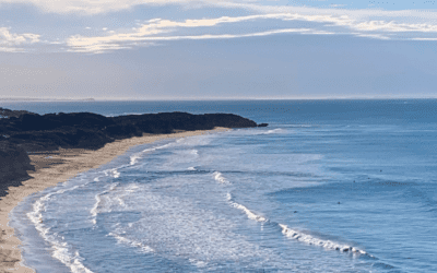 Tiny Homes on Wheels: A Path to Address Housing Challenges on the Surf Coast