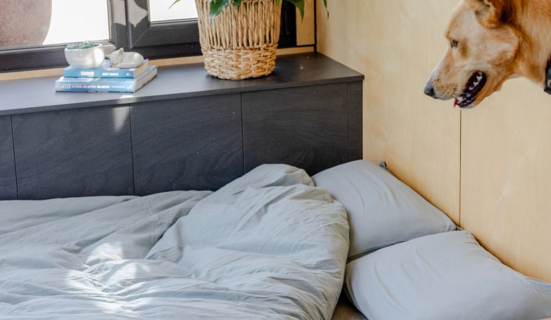 Tiny Home on Wheels Biggest Myths Debunked