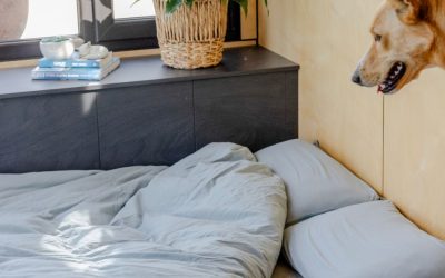 Tiny Home on Wheels Biggest Myths Debunked
